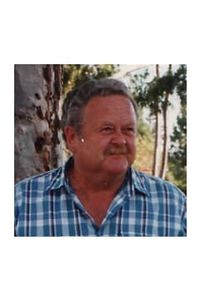 Robert Allen Freitas