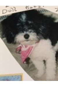 Zoey  Porter