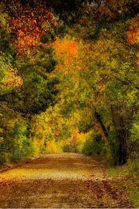 Todd Richard Conover