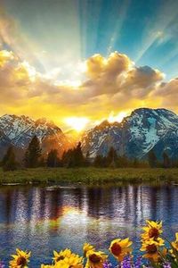 Robert Michael Helwig