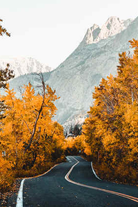 Coleman Shelton Elder