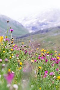 Judith Renee Darrigan