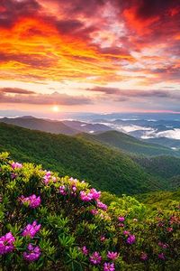 Michael Edward Smith