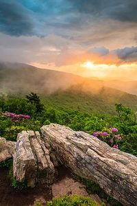 Connie Lee Witt