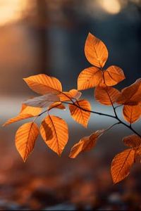 Tamara Kristine Majors