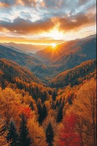 Thomas Eugene Tarrant