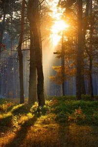 Robert Leonard Landowski