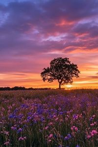 Patricia Lou Haywood