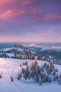 Bonnie Theresa Egbert