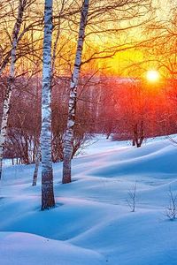 Curtis Michael Ziegler