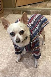 Fabio Enrique Gibson