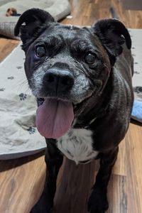 Marley Michael Myers-Christensen