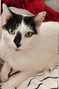 Daisy  Slinde-Arguello