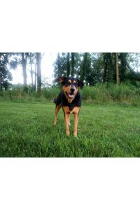 Finnegan Bertram Waters