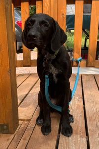 Isabel “Izzy”  VanThuyne