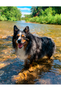 Osiris ‘Boog’ Oliver