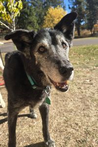 Maya Marie Worthington