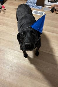 Jasper Joy Leo-Jackson