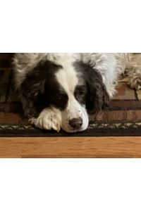 Penny Lane Payne/Schlim