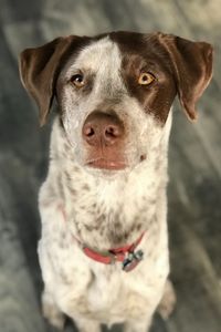 Sven (Svenners) Steven Lewis