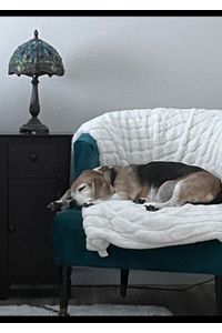 Piglet Snickers Iszler