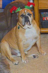 Sawyer Brown Simpson