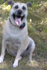 Sunshine Best Friend Forever Shultz