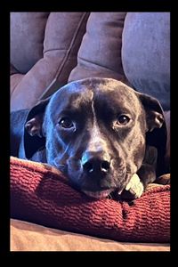 Stiles Bane Weinberger