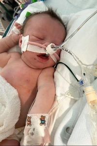 Wrenleigh Paige Dickens