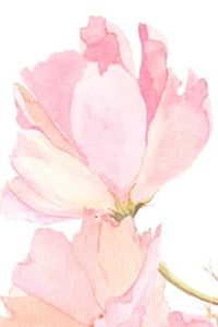 Mary E. (Bosworth) Houlahan