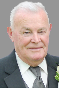 Michael  Harte