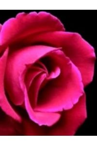 Doris   Godfrey