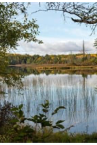 Gordon Leonard Klier