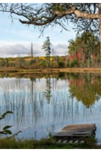 John Bernard Griffin, Jr