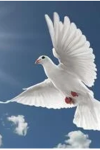 Constance Adrienne Thorne