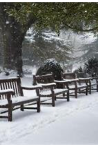 Steven Harvey Cryderman