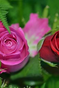 Joan Lillian Stringer