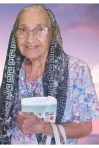 Elisa V. Deleza