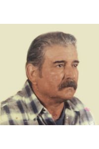 Domingo  Garcia Arizpe