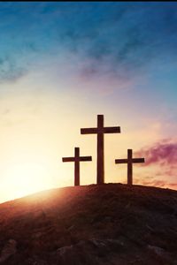 Herman Wayne Davenport