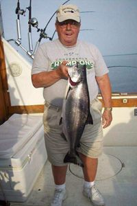 Theodore Allen Larson