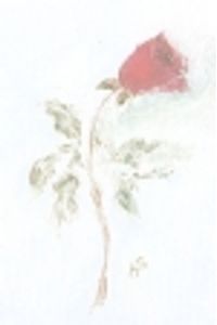 Donna Marie Benson