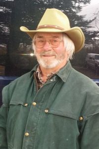David T. Hamilton