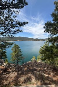 Carole Sue Oberlitner