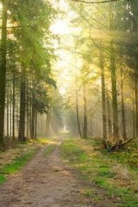 Avery Thomas and Carol Janice  Mullings