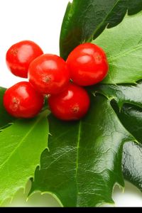 Susan Mary Elizabeth Crowe