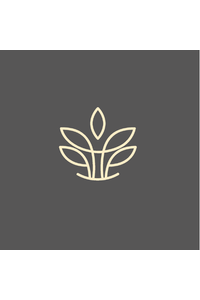 Joseph Martin Palmans