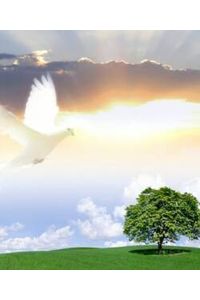 Donna M. Horsburgh