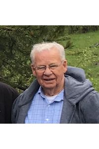 David W.  Daily