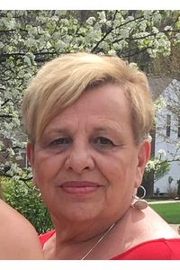 Mary Ann  Cook